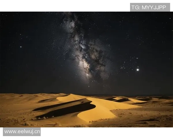 深度探讨刘强在和平精英中的人生哲学与游戏策略