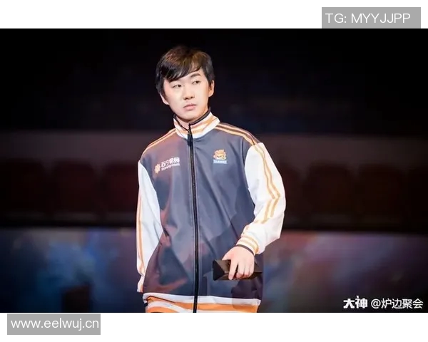 独家分析：WE战队与其他战队比赛经验的深度对比与启示